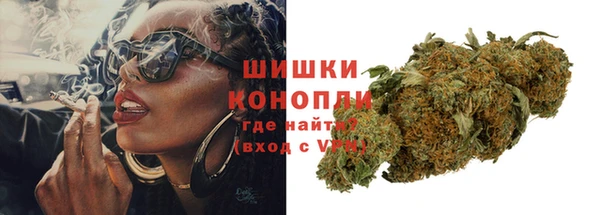 гидра Володарск