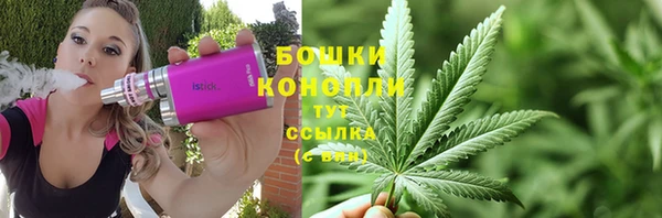 гидра Володарск