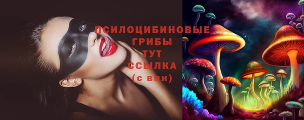бошки Волоколамск