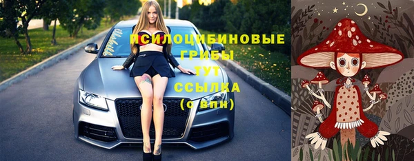 бошки Волоколамск