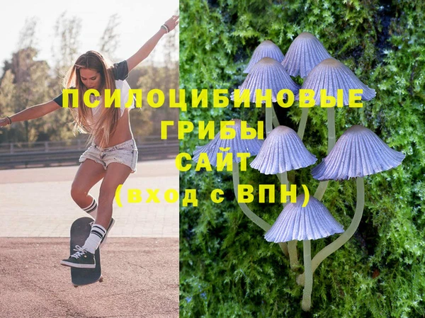 гидра Володарск