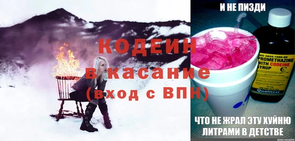 гидра Володарск