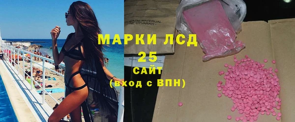 гидра Володарск