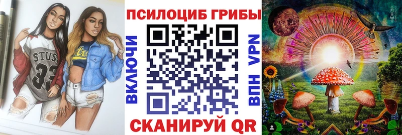 купить наркотик  мега ONION  Галлюциногенные грибы Magic Shrooms  Высоцк 